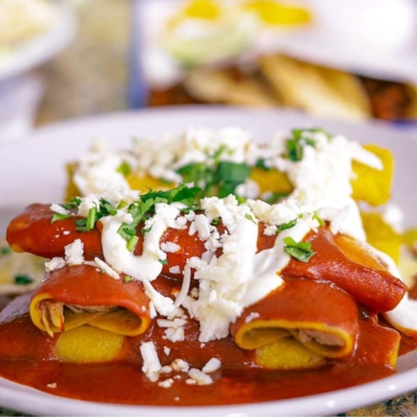 Close-up of enchiladas covered in red sauce, sour cream, crumbled cheese, and cilantro.
